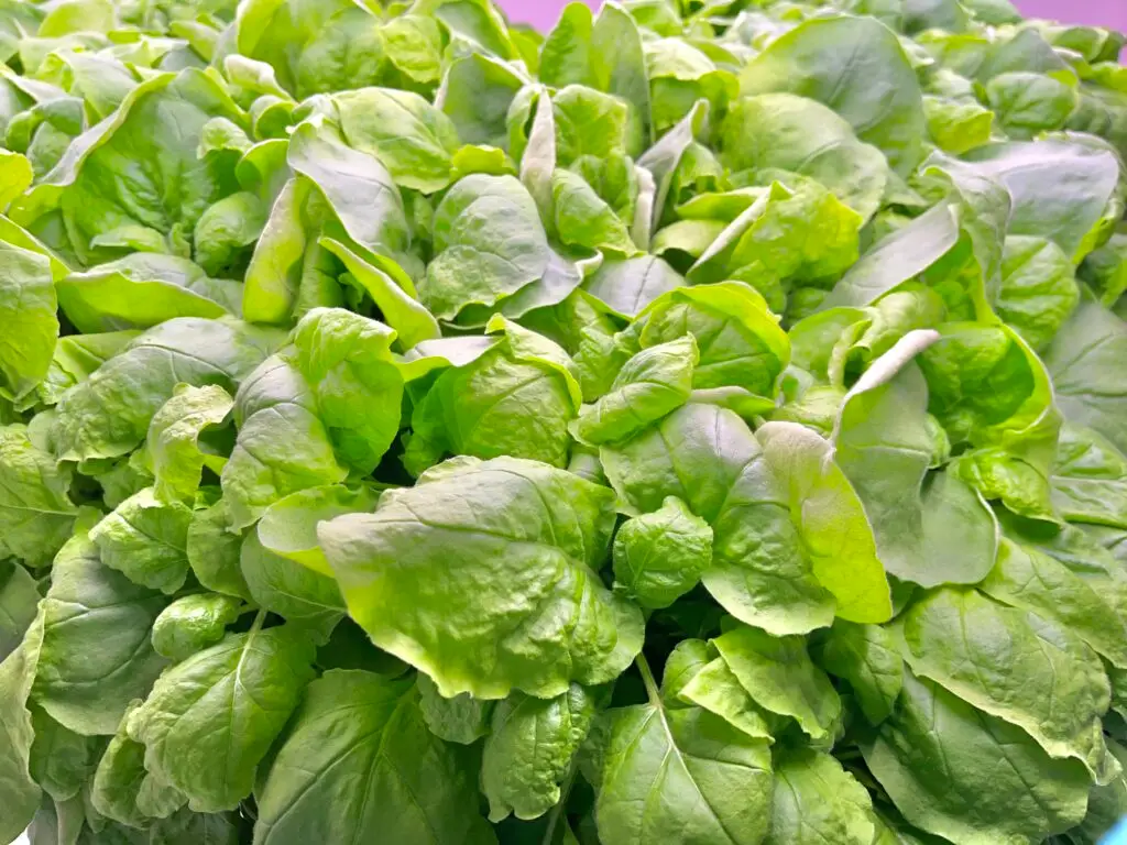 3646B32B-43BD-4F01-9944-18581CA8F1F1